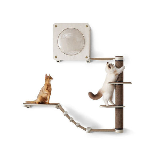 Clickat Oasis Cat Wall Furniture, Set of 5, Cat Climbing Wall, Cat Shelf