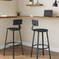 Set of 2 Tall Bar Stools, Bar Chairs with Backrest, Kitchen Stools, Breakfast