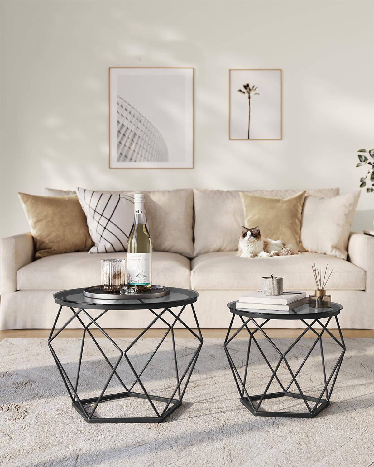 Round Coffee Tables, Set of 2 Side Tables, Modern Style, Removable Tabletop