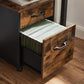 Industrial Style 2 Drawer File Cabinet